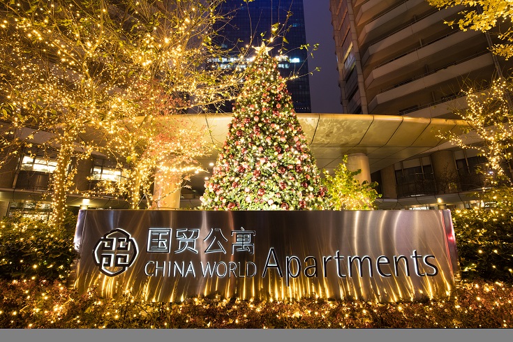 国贸公寓门前的圣诞树，传统松柏诠释温情。